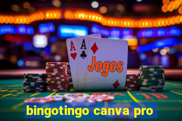 bingotingo canva pro